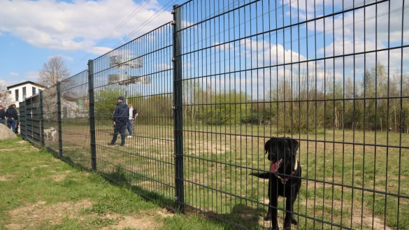 Im April wurde die erste Hundewiese in Leopoldsh&ouml;he offiziell er&ouml;ffnet. Foto: Birgit Guhlke - &copy; Birgit Guhlke