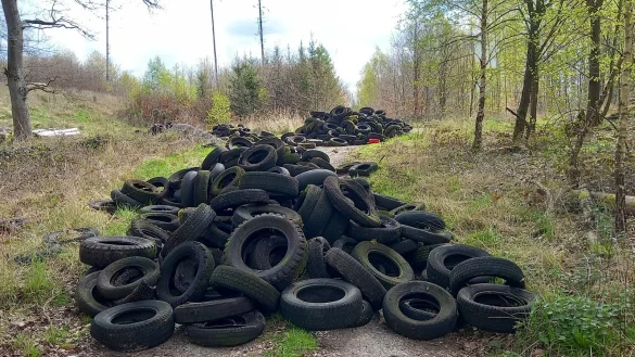 Dreiste, illegale Reifenentsorgung beklagt der Landesverband Lippe im Beller Holz. - &copy; LVL