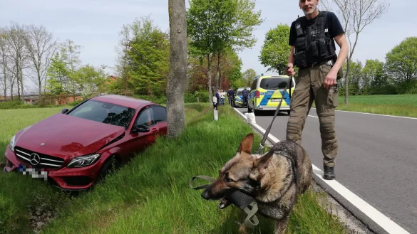 Der Sprengstoff-Sp&uuml;rhund Jette aus Bielefeld mit Carsten Hahm. - &copy; Joern Spreen-Ledebur