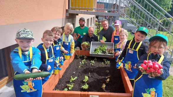 Daniel Koch (Edeka-Stiftung, hinten von links), Marvin Wast (Inhaber Edeka-Markt Steinheim) und Kita-Naturbotschafter Albert Holtkamp bepflanzen gemeinsam mit den Vorschulkindern (von links) Till (6), Toni (6), Johann (5), Oskar (5), Nola (6), Saari (5), Jonathan (6) und Amelie (6) das Hochbeet. - &copy; Michaela Wei&szlig;e