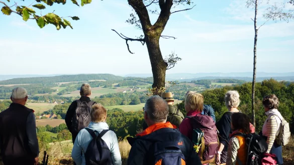 Wandern in toller Natur: Die LTM und die nordlippischen Kommunen laden zur Wanderwoche. - &copy; LTM