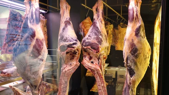 Im Wandel: Fleisch. Das merkte auch die Hochschule und ver&auml;nderte sogar die Begriffe rund um die Fleischtechnologie. Man spricht nunmehr von der Technologie Protein-basierter Lebensmittel. - &copy; Axel B&uuml;rger