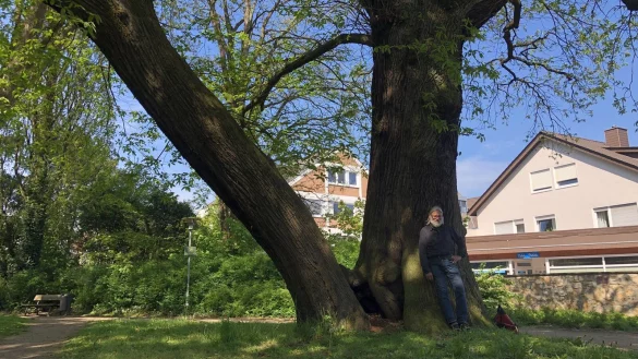 Schlosspark Stietencron - &copy; Sven Kienscherf