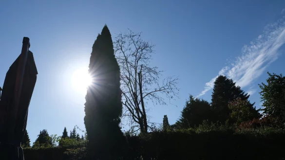Detmold schwingt sich auf den Klimawandel ein. - &copy; Sven Koch