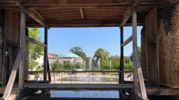 Auch der Blick durchs Gradierwerk zeigt B&auml;ume im Park,  deren Kronen d&uuml;nner als normal ausfallen. - &copy; Thomas Reineke