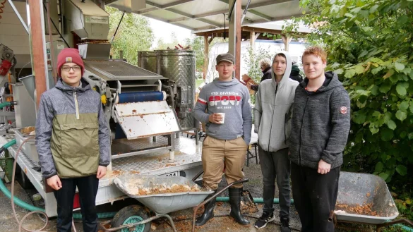 Helfende H&auml;nde. Die Jugendlichen Paul Lennart Haar, Eric Br&uuml;ning, Pierre Maurice und Julian Philip Asmus sammeln die Restmaische (von links). - &copy; Thomas Kr&uuml;gler
