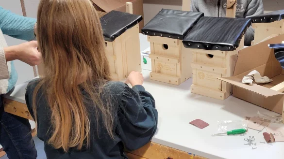 Sch&uuml;ler brauen Nistk&auml;sten f&uuml;r Meisen. - &copy; Raffael Giebel