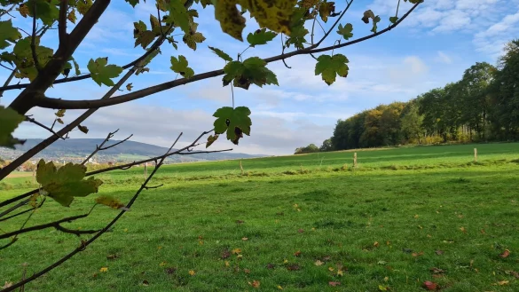 Der Biesterberg in Lemgo von Westen in Richtung Osten fotografiert. - &copy; Nadine Uphoff