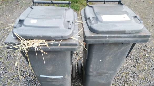 Die Kosten für den Abfall der grauen Tonnen werden künftig nicht mehr nach Gewicht berechnet. - © Archivfoto: Sylvia Frevert