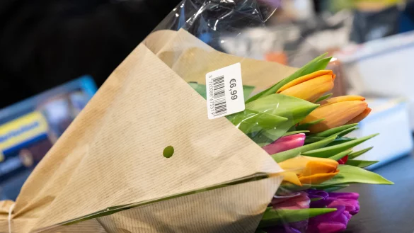 Bis in den sp&auml;ten Herbst hinein k&ouml;nnen Farmerfloristen frische Blumen liefern. - &copy; Sven Hoppe