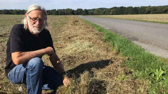 Das Schnittgut liegt Zentimeter dick auf dem Randstreifen. Hier hatte die Natur eine erstaunliche Artenvielfalt entwickelt, bevor der Landwirt, der die angrenzende Fl&auml;che bewirtschaftet, alles m&auml;hte und damit nach Sch&auml;tzungen von Gerd Teuteberg 95 Prozent der Lebewesen dort jede &Uuml;berlebenschance nahm. - &copy; Corina Lass