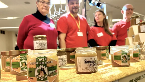 Auf dem Honigmarkt im Kurpark erkl&auml;ren Experten, dass Bienen nicht nur leckeren Honig machen, sondern auch wichtig f&uuml;r die Natur sind. - &copy; Karlotta Hensch