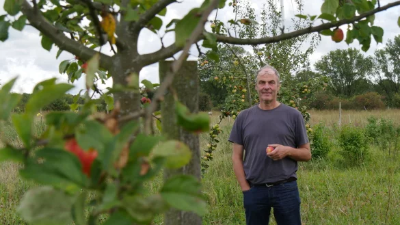 Die alten Apfelsorten, die Bernd Fiege gepflanzt hat, sind f&uuml;r Allergiker gut geeignet. - &copy; Jost Wolf