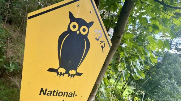 In Deutschland ist die Eule das Symbol f&uuml;r Nationalparks, sie wurde schon in DDR-Zeiten verwendet. - &copy; Jens Reddeker
