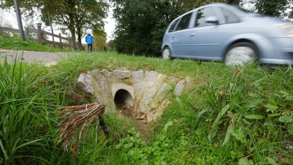Die Schadstelle ist klar sichtbar. Dass offen im Graben der Straße "An der Mosebecke" liegende Kabel ist beim Mähen zerfetzt worden. Seit dem 10. August ist das Unterdorf Mosebeck deshalb ohne Telefon und Internet. - © Jost Wolf