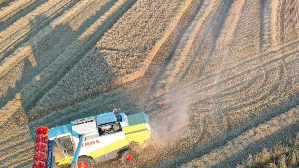 Die Bauern blicken auf ein schwieriges Erntejahr zur&uuml;ck. Vor allem der Regensommer machte ihnen zu schaffen. - &copy; Thomas Kube