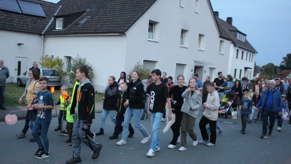 Der Fackelumzug in H&ouml;rste geh&ouml;rt zur Er&ouml;ffnung des Dorffestes einfach dazu. Jedes Jahr wechselt die Route, diesmal geht es &uuml;ber den H&ouml;rster Bruch. - &copy; Udo Zantow