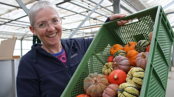 Ob "Hokkaido", "Muskat" oder "Jack Be Little" &ndash; Heidrun Plogmeier zeigt die K&uuml;rbisse, die auf den Feldern des Lohmannshofs wachsen. - &copy; Nico D&uuml;llmann