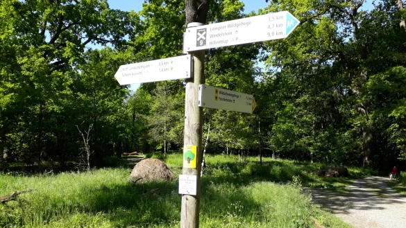 Nordlippe ist ein Eldorado f&uuml;r Wanderer, die gem&auml;&szlig;igte H&ouml;henlinien alpiner Qu&auml;lerei vorziehen. Eine solide Beschilderung der Wege erleichtert es, die Wegstreckenl&auml;nge abzusch&auml;tzen und das Ziel sicher zu erreichen. - &copy; Hajo G&auml;rtner