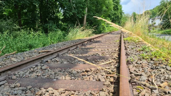 Die Schienen der alten Begatalbahn im Bereich Lemgo-Brake - &copy; Martin Hostert