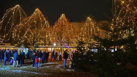 Klein, aber fein: Die Lemgoer Winterwelt. - &copy; Nicole Ellerbrake