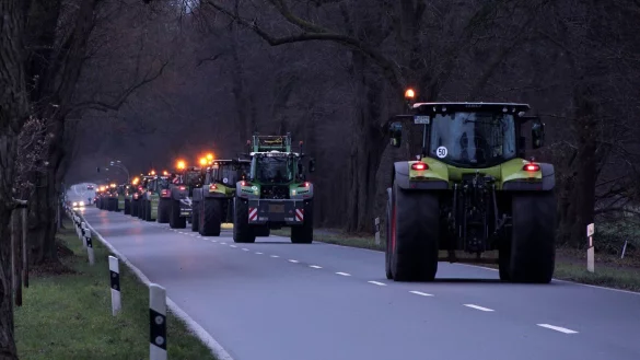 Dezember 2023: Landwirte fahren mit ihren Traktoren in Richtung Berlin, um gegen die Landwirtschaftspolitik zu protestieren. Damals waren auch Lipper in der Hauptstadt dabei, in diesem Monat sparen sie sich die weite Fahrt und protestieren in Detmold. - &copy; Christian Butt/Nord-West-Media/dpa