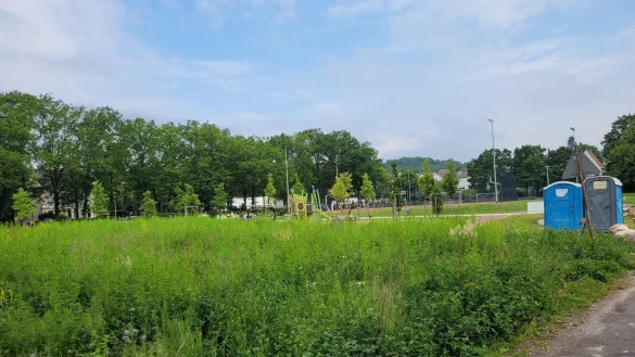 Erst sollte mal ein Wohnmobilhafen am Jahnplatz gebaut werden, dann war die Fl&auml;che f&uuml;r ein &Auml;rztehaus im Gespr&auml;ch. Jetzt dreht sich alles wieder zur&uuml;ck. - &copy; Astrid Sewing