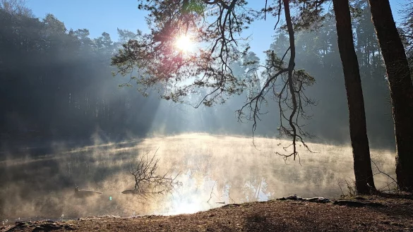 Der Wald im Wintermodus - hier am Donoperteich: Nach dem Geschmack der F&ouml;rster sollte es weiter klirrend kalt und m&ouml;glichst trocken bleiben. - &copy; Anne Wolf