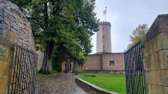 - &copy; Kirsten Fuhrmann