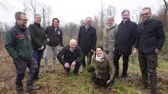 NRW-Landwirtschafts- und Verbraucherschutzministerin Silke Gori&szlig;en (vorne) hat sich &uuml;ber den Zustand der W&auml;lder in der Region informiert. Mit dabei im Lemgoer Wald waren F&ouml;rster Thomas Fritzemeier (von links), Johanna Dreps-Kahl (Forstconsulting Dreps), Lena Arens (Forstbetriebsleitung Stadt Warstein), Cajus Caesar, Landesverbandsvorsteher J&ouml;rg D&uuml;ning-Gast, Susanne Hoffmann (stellvertretende Leiterin der Forstabteilung des Landesverbandes), Dr. Ralf Petercord (NRW-Landwirtschaftsministerium) und Jan-Otto Hake (Leiter der Forstabteilung des Landesverbandes). - &copy; Michaela Wei&szlig;e