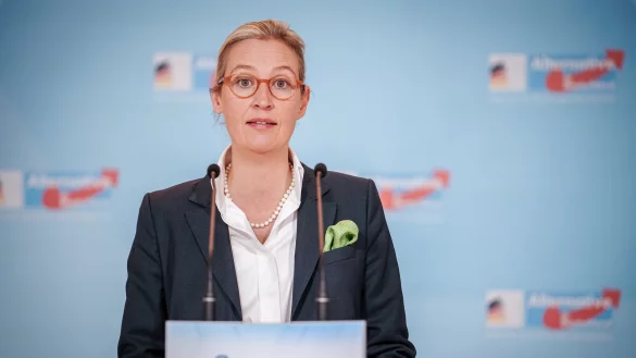 Alice Weidel, Fraktionsvorsitzende der AfD, h&auml;lt die Demonstrationen f&uuml;r eine inszenierten Medienkampagne. - &copy; Kay Nietfeld