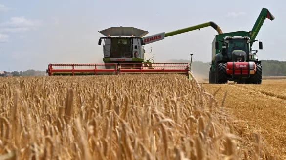 Die &Auml;cker, die f&uuml;r die sogenannte Anbaubiomasse genutzt werden, k&ouml;nnen nicht mehr der Nahrungsmittelproduktion dienen. - &copy; (c) Copyright 2023, dpa (www.dpa.de). Alle Rechte vorbehalten