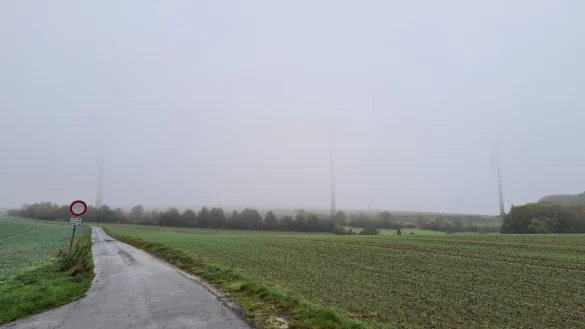 Auch die Wirtschaftswege in Homeien sind Teil des Konzeptes. - © Archivfoto: Nadine Uphoff