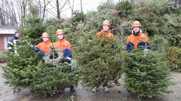 Stadtjugendfeuerwehrwart Marvin Willrich mit Helge Drees, Zederick Heier, Ben Freise und Mauritz Müsing (v. l.) auf dem Gelände des Bauhofes. Dort werden die ausrangierten Tannenbäume bis zum Osterfeuer gelagert. Foto: Karin Prignitz - © Karin Prignitz
