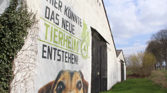 Das "k&ouml;nnte" kann der Tierschutzverein Holzminden-H&ouml;xter nun streichen. - &copy; Burkhard Battran
