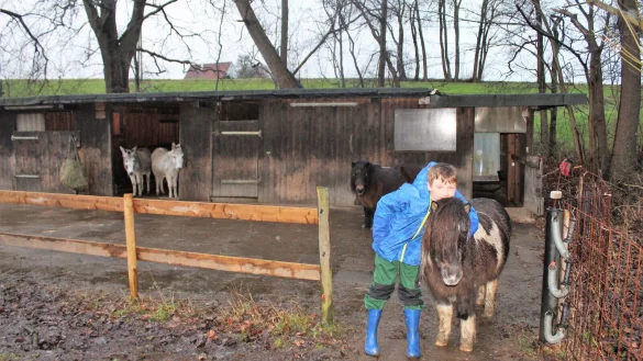 Zwei Esel und zwei Ponys befinden sich auf den Hof Sch&uuml;rstedt. Maxi Sch&uuml;rstedt (11) h&auml;lt sich am liebsten bei ihnen auf. - &copy; Anastasia von Fugler