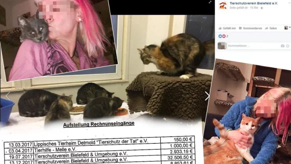 Das Tierheim Bielefeld übernahm 39 der Tiere. Entsprechend hoch waren dort die Kosten. - © Fotos: privat, Facebook / Montage: Thomas Grundmann