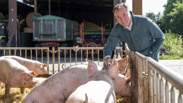 Immer wieder im Fokus: Clemens Tönnies und sein Fleischunternehmen. - © dpa
