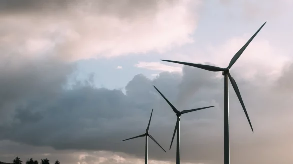 Der Bau von Windkraftanlagen sorgt auch im Kreis Lippe immer wieder f&uuml;r Z&uuml;ndstoff. Diesmal ging es vor dem Oberverwaltungsgericht M&uuml;nster um zwei Klagen. - &copy; Janet K&ouml;nig