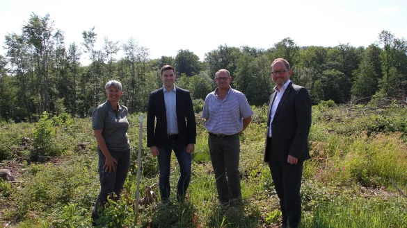 Besichtigungstermin an der Pflanzfl&auml;che. - &copy; Landesverband Lippe