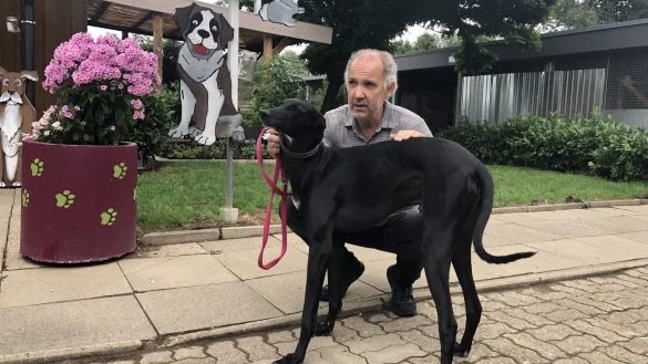Stefan Quirini mit Windhund "Fly". Der tier- und menschenfreundliche R&uuml;de sucht ein neues Zuhause. - &copy; Sven Kienscherf