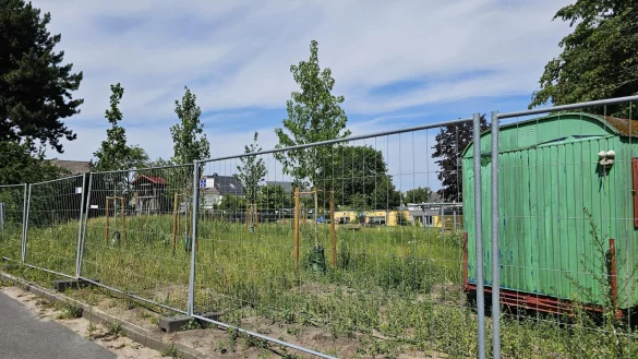 Die neuen B&auml;ume im Au&szlig;engel&auml;nde der Kita in Ehrentrup sind gepflanzt. Dass die alten B&auml;ume gef&auml;llt werden mussten, hatte einige Kritik nach sich gezogen. - &copy; Astrid Sewing