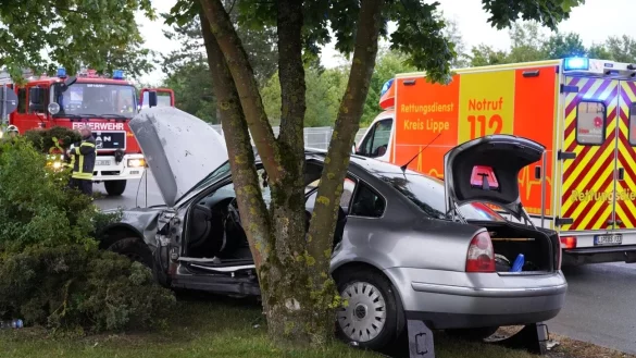 Der Fahrer wurde bei dem Unfall in seinem Fahrzeug eingeklemmt. - &copy; FREITAG-TV