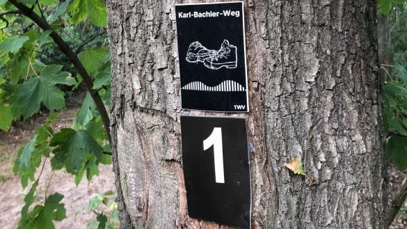 Wegmarken weisen auf die Rundwege Karl-Bachler-Weg und den Wanderweg 1 hin. Dar&uuml;ber sieht man einen Wegweiser f&uuml;r den Hansaweg. - &copy; Thomas Reineke