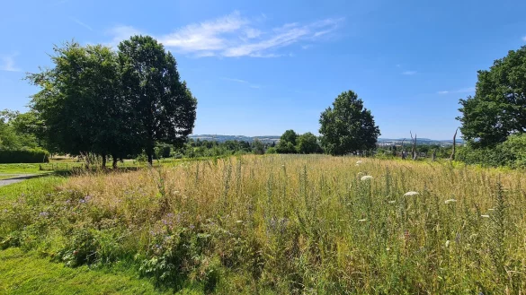 Der Staff-Park mit seinen bl&uuml;henden Wiesen liegt an einem Hang mit Blick auf die Stadt Lemgo. - &copy; Nadine Uphoff