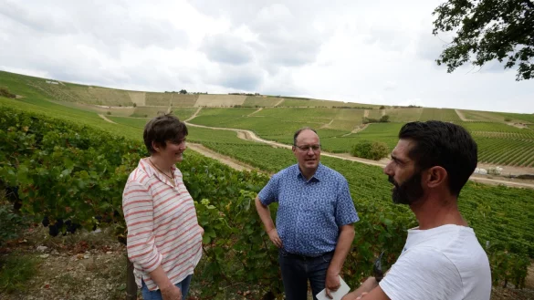 Andrea und Pierre-Louis Plat in den Weinbergen an der Loire, wo Pierre-Louis aufgewachsen ist. Das Bild stammt aus dem Jahr 2018. Demn&auml;chst reisen die Weinh&auml;ndler wieder nach Frankreich. Den Kontakt zu den Winzern zu halten, sei wichtig. - &copy; Archivbild: Karl-Heinz Krull