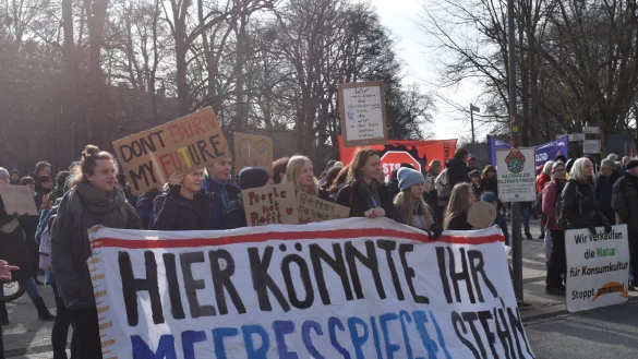 Die Demonstranten halten ihre Schilder, Banner und Fahnen vor dem Landestheater hoch, auf denen Zitate und Slogans zur Klimakrise stehen. - &copy; Katrin Niemeier