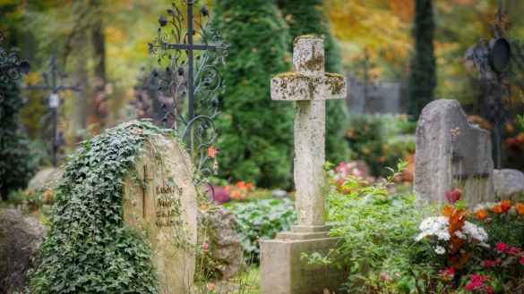 Der Friedhof Kohlst&auml;dt bietet nun eine Besonderheit in der Gemeinde Schlangen: Rasenw&auml;hlgr&auml;ber. - &copy; Symbolfoto: Pixabay/fietzfotos