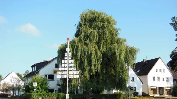 Die B&uuml;rger sind aufgerufen, Ideen zu Rischenau zu entwickeln. - &copy; Andreas Rahns