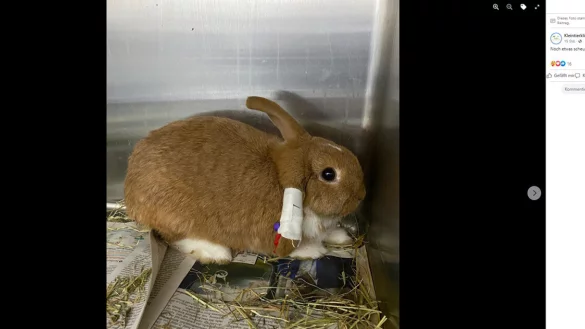 Der Kleintierklinik Frank war es wichtig, &uuml;ber das Schicksal des Kaninchens auf ihrer Facebook-Seite zu informieren. - &copy; Screenshot NW / Kleintierklinik Frank auf Facebook